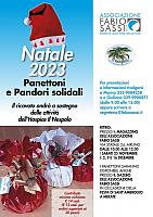 Natale 2023 - Panettoni e pandori solidali